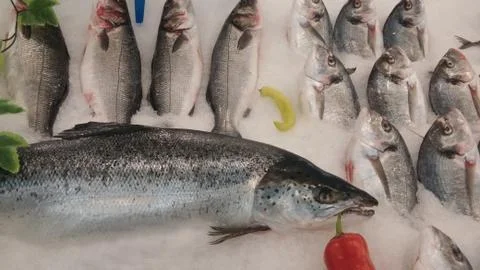 Frozen fish Stock-Fotos