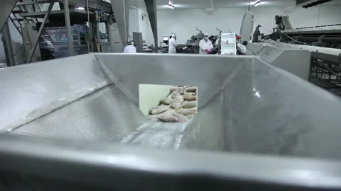 Frozen fish processing line factory Video stock 102067534