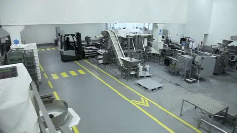 Frozen fish processing line factory Video stock 102067579