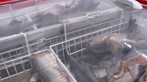 Frozen fish in the refrigerator in the store. Stock Footage 257513068