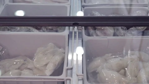 Frozen fish shop Stock Footage 75465361
