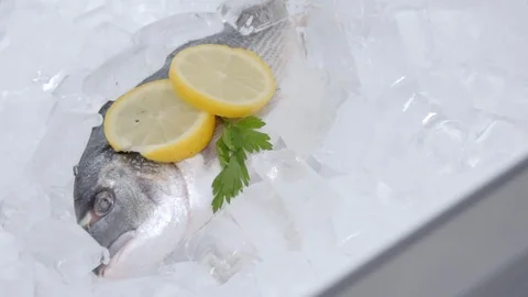 Frozen fish in slow motion Stock Footage 73390673