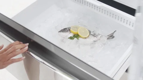 Frozen fish in slow motion Stock Footage 73391083