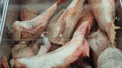 Frozen fish in the supermarket. Stock Footage 211123103
