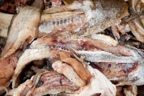 Frozen fish waste Stock Photos