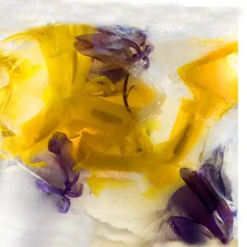 Frozen   flower of  iris Foto stock