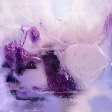 Frozen   flower of  iris Stock Photos
