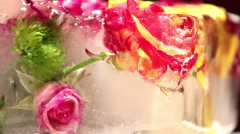Frozen flowers, flowers in ice, Stock Footage 24953989