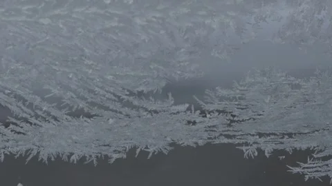 Frozen flowers on a window Stock Footage 256682643