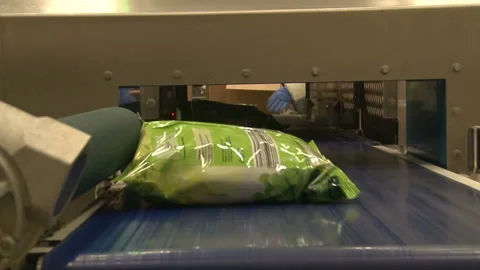Frozen food packing and sorting industry equipment Stock Footage 155458237