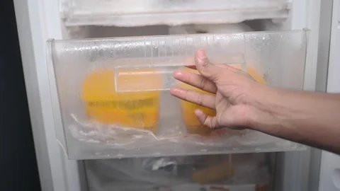 Frozen food storage in a kitchen freezer Stock Footage 337602005