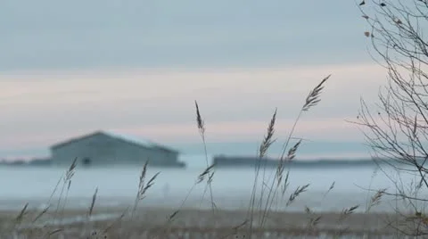 Frozen Stock Footage 12420645