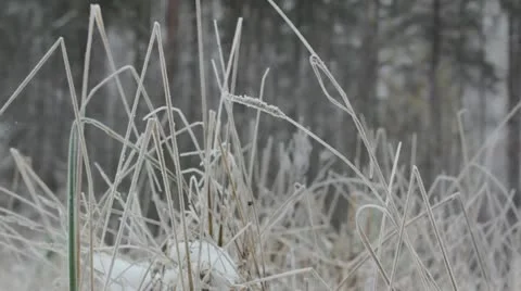 Frozen Stock Footage 12420670