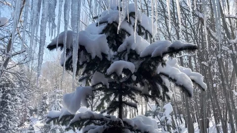 Frozen Stock Footage 297674054