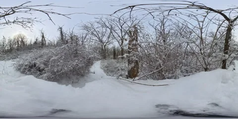 Frozen Forest in 360° VR – Stunning Winter Landscape Video stock 300809804