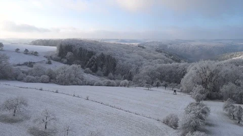 Frozen forest from above Video stock 71125222