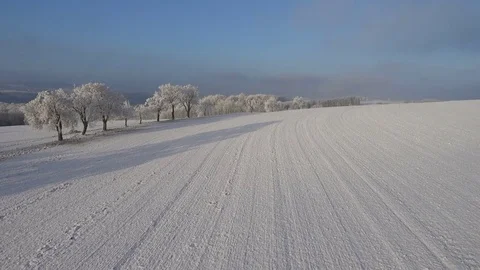 Frozen forest from above in Orscholz Video stock 71133668
