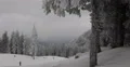 Frozen Forest Amazing Winter Teenagers Skiing Snowboarding Riding Jumping People 4k or 4k+ Resolution