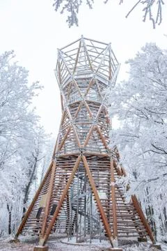 Frozen forest on a cloudy, cold day in Hungary, Mountain Badacsony Stock-Fotos