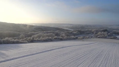 Frozen forest from drone. Video stock 71125362
