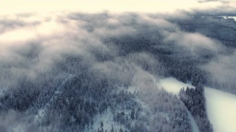 Frozen forest from a drone view. Stock Footage 222127371