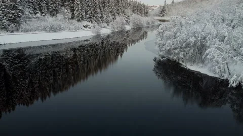 Frozen Forest Video stock 213244760