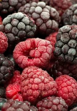 Frozen forest fruit Stock Photos