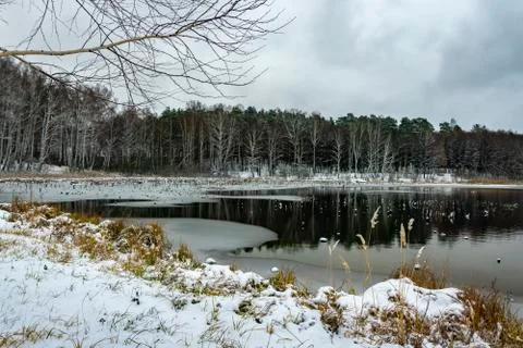 Frozen Forest Lake with First Ice Stock Photos