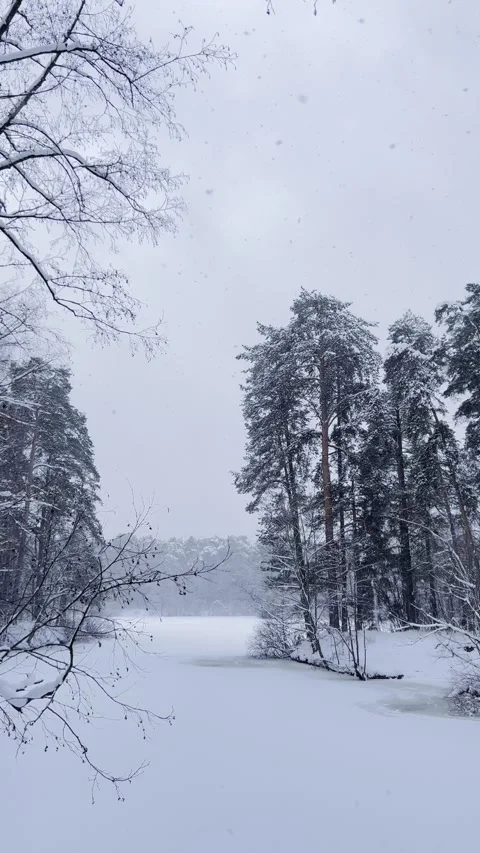 Frozen forest lake in the snowfall Stock Footage 325669756