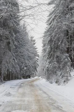 A frozen forest in the middle of the mountain Foto stock