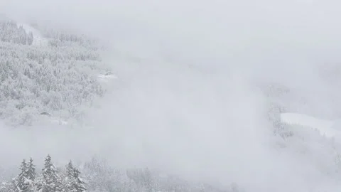 Frozen forest with mist Video stock 86136086