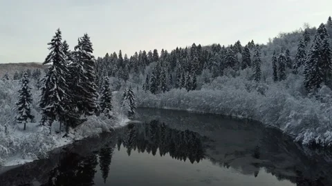 Frozen Forest Norway / Trondheim Video stock 213239082