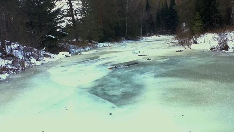 A frozen forest river in the middle of a pine forest Video stock 126319890