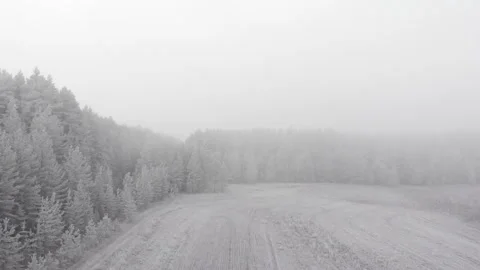 Frozen forest road Stock Footage 293934241