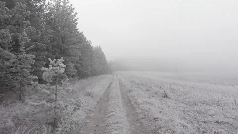 Frozen forest road Stock Footage 293942358