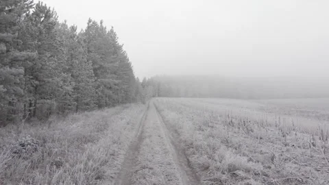 Frozen forest road Stock Footage 293942587