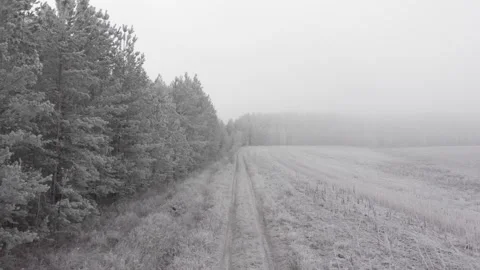 Frozen forest road Stock Footage 293942640