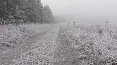 Frozen forest road Stock Footage 293942656