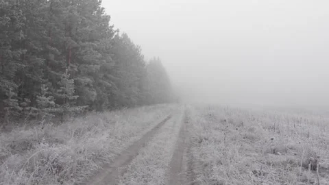 Frozen forest road Stock Footage 293942671