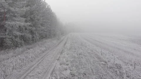 Frozen forest road Stock Footage 293942683