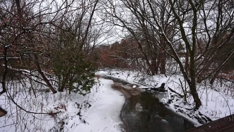 Frozen Forest Scene with Stream Flowing Through Snow in Courtice Park 動画素材 334251339