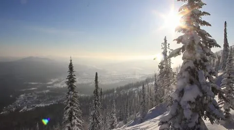 Frozen forest in Siberia Stock Footage 22423982