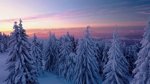 Frozen forest with snowy trees in cold winter evening nature landscape at sunset Stock Footage 152820111