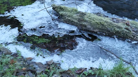Frozen Forest Stream Detail Video stock 328298803