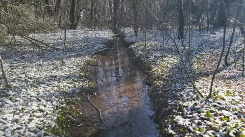 Frozen Forest Stream Flowing Through Winter Woodland Landscape Stock Footage 327058321