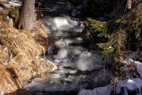 Frozen forest stream, ice, winter in High Tatras, Slovakia Stock Photos