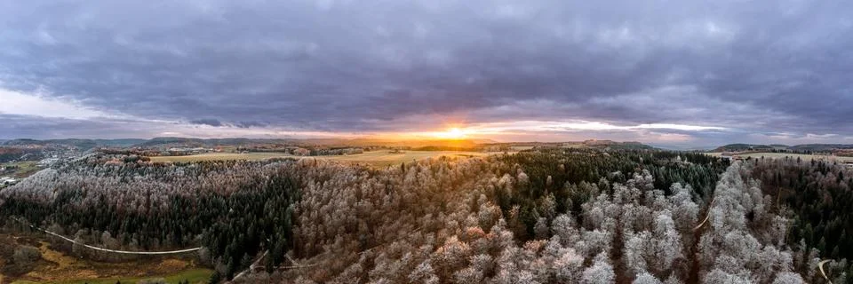 Frozen forest tree in the sunset light in aerial view. Stock Photos