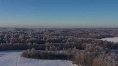 Frozen forest at winter. Flight above winter forest with snow covered trees. Stock Footage 168358753