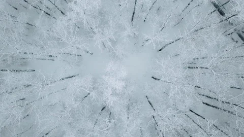 Frozen forest winter landscape aerial drone footage. Drone flight video over Stock Footage 167199545