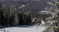 Frozen Forest Winter Mountain Skiers Snowboarders Skating Skiing Idyllic Holiday HD Footage